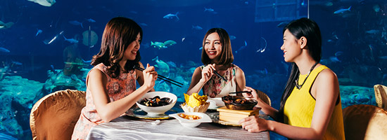 海洋奇觀水族館