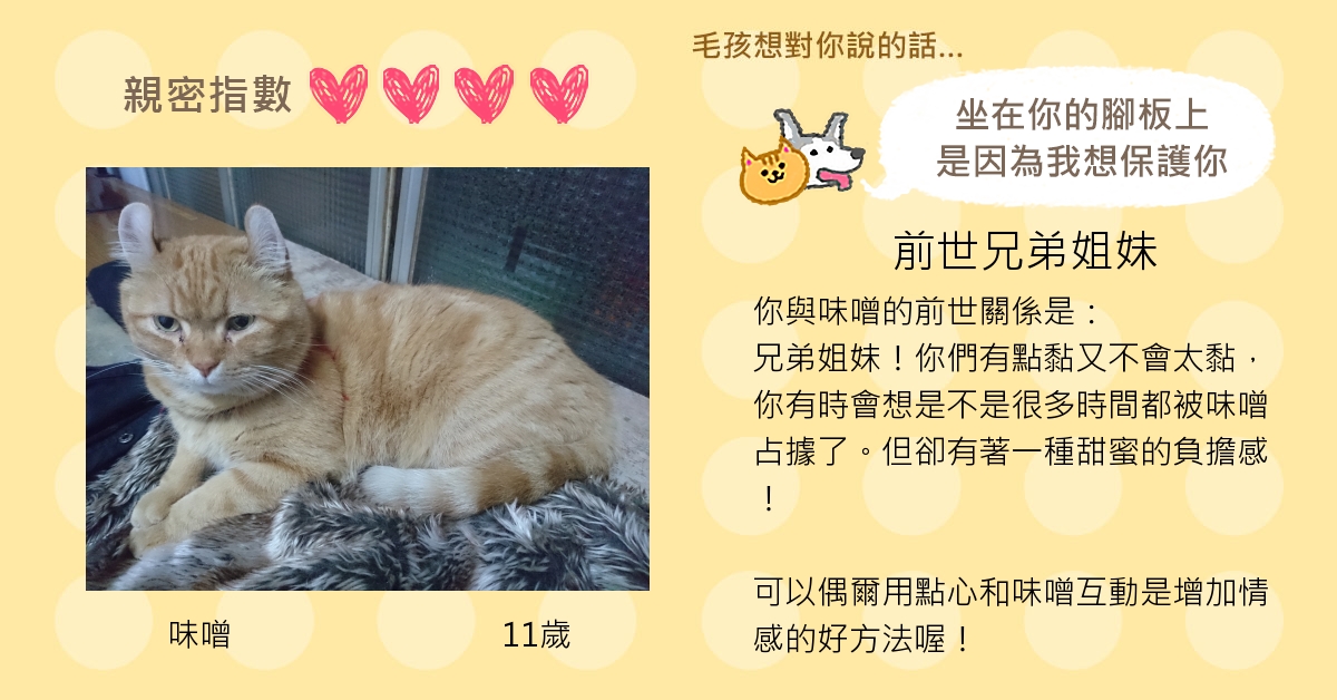 Guo Meow的測驗結果