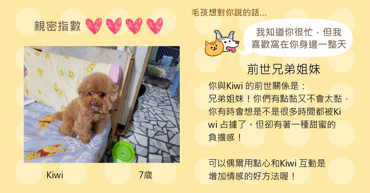 杜小美的測驗結果