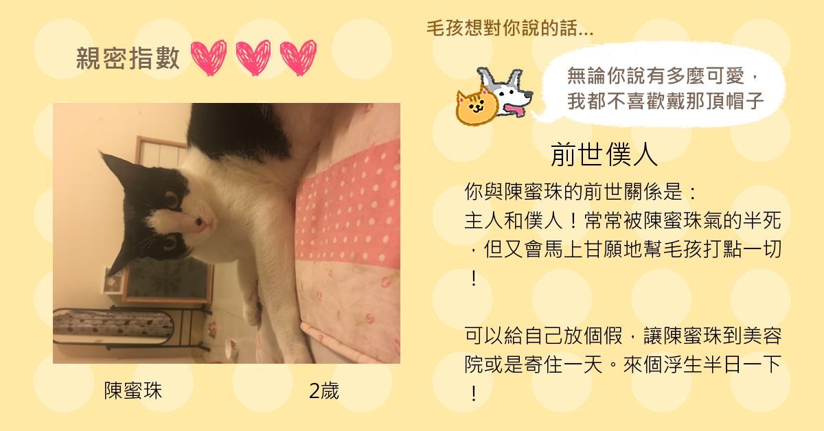 陳俞婷的測驗結果