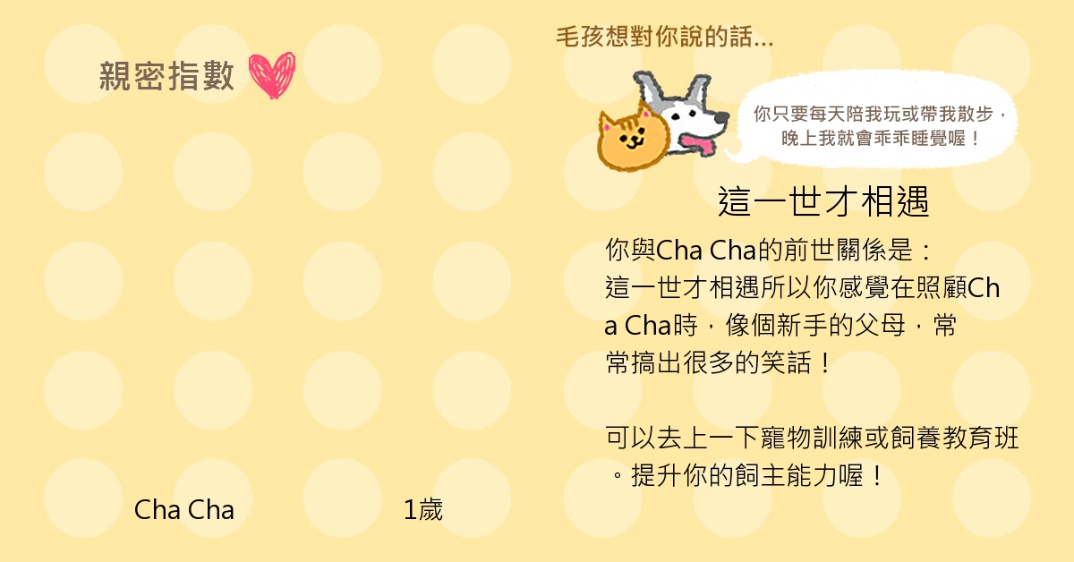 Cha Cha的測驗結果