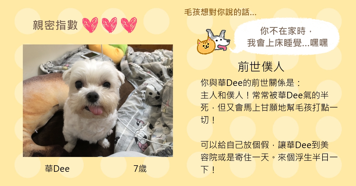 DaiDee Shum的測驗結果