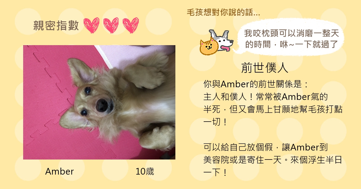 Amber Wu的測驗結果