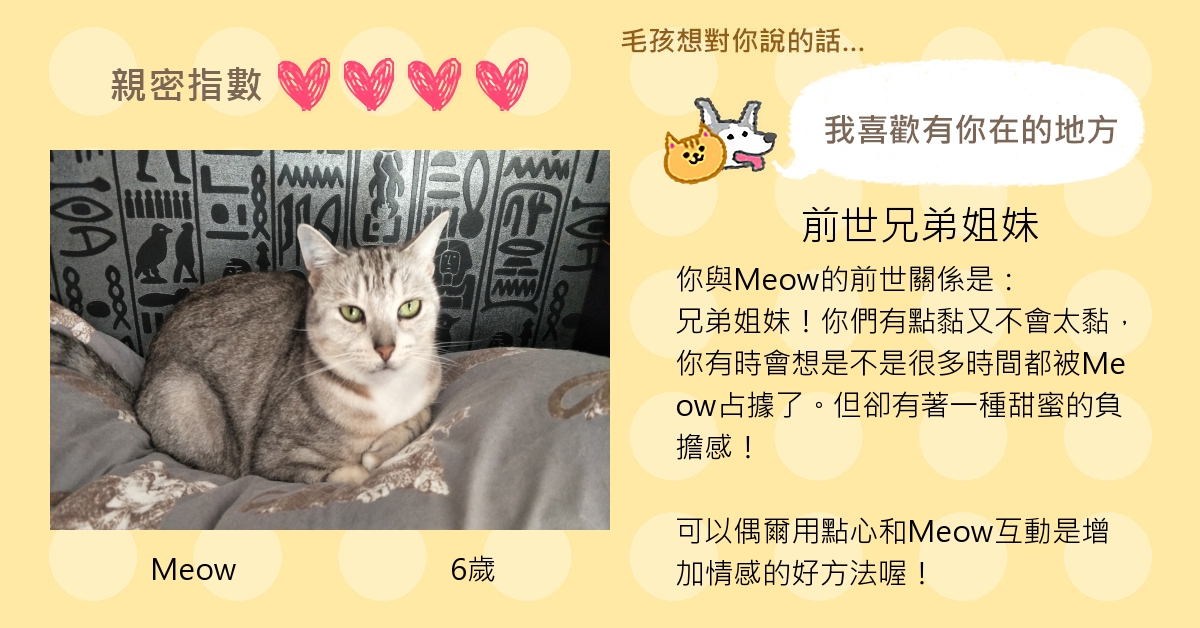 Alice Meow的測驗結果