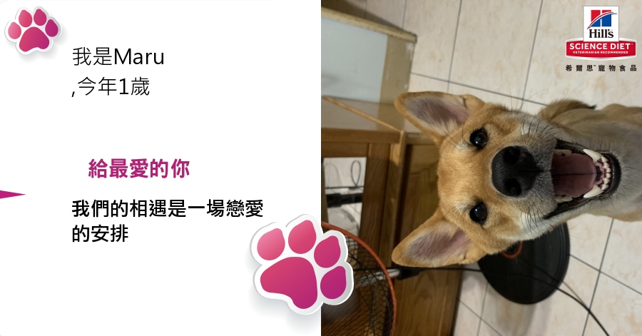 Kro Ming的測驗結果