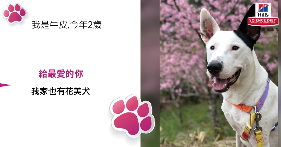 ChienPing Pan的測驗結果