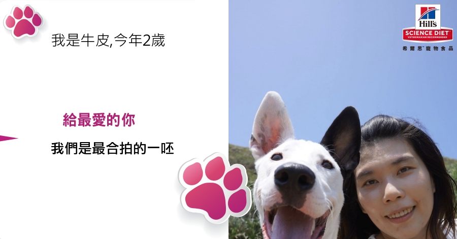 ChienPing Pan的測驗結果