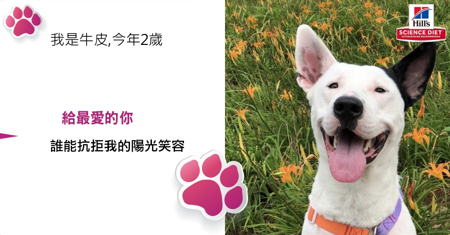 ChienPing Pan的測驗結果