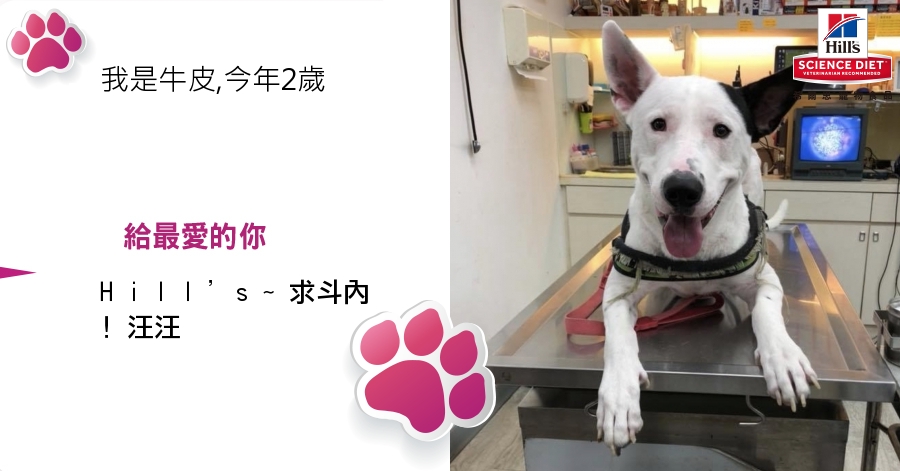 ChienPing Pan的測驗結果