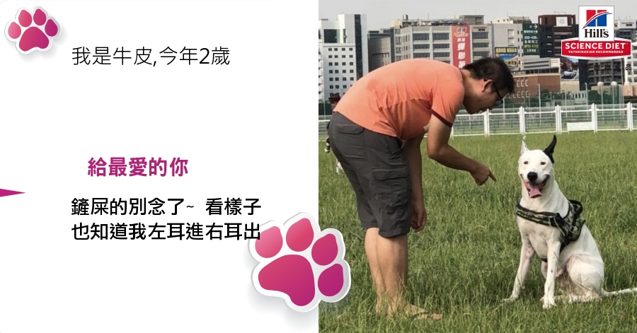 ChienPing Pan的測驗結果