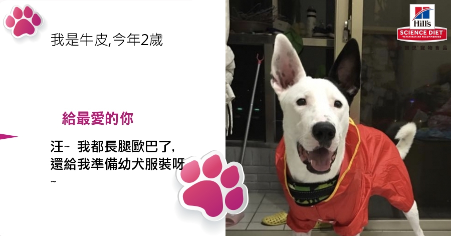 ChienPing Pan的測驗結果