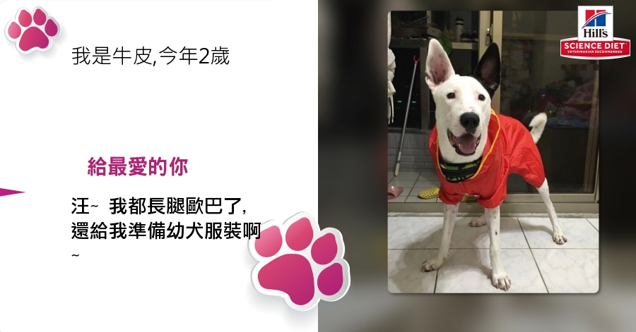 ChienPing Pan的測驗結果