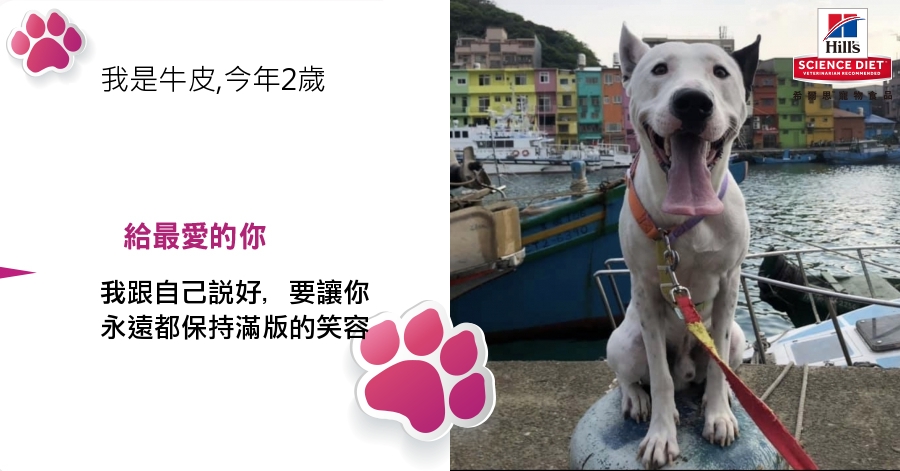 ChienPing Pan的測驗結果