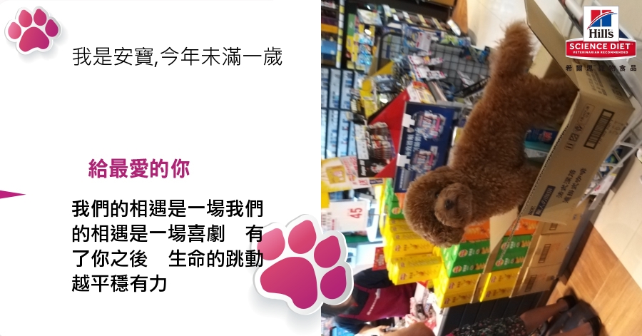 Hi Bear Kuo的測驗結果