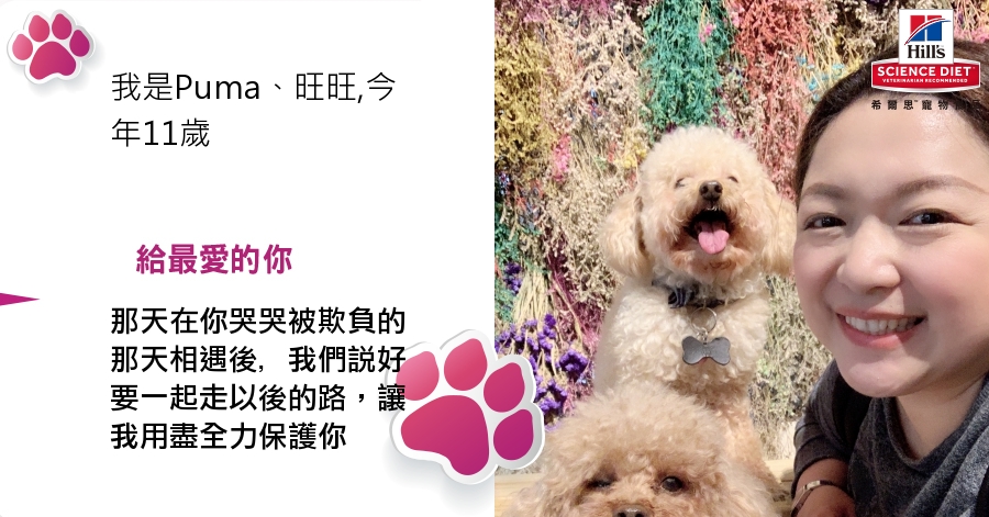 Dora Chang的測驗結果