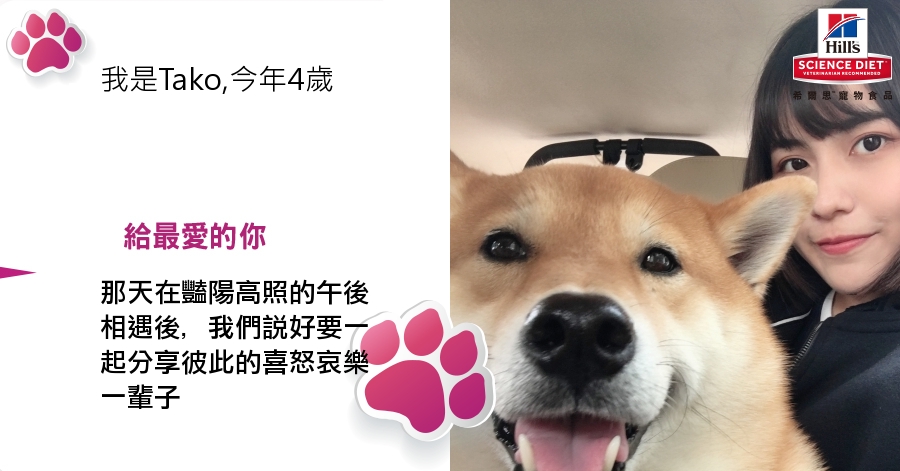 Chien Tzu的測驗結果