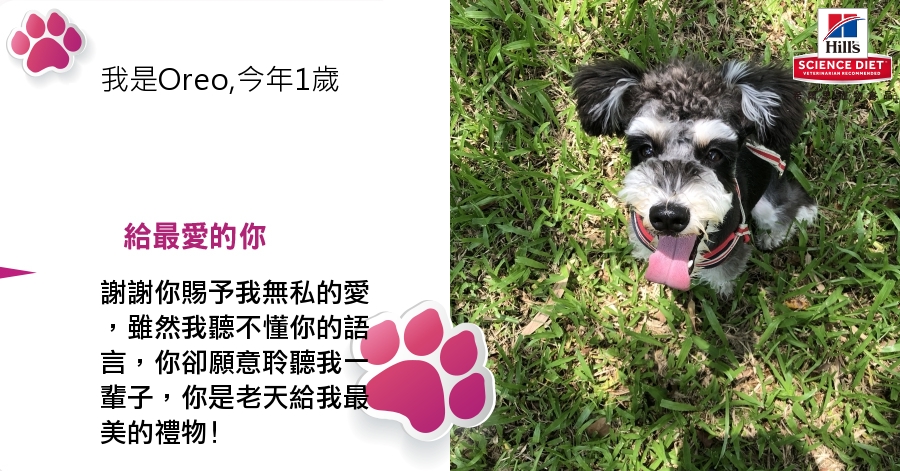 徐維杉的測驗結果