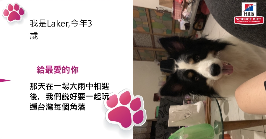 曾郁翔的測驗結果