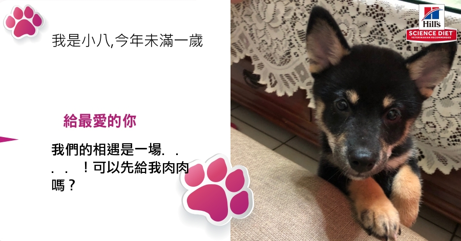 王郁婷的測驗結果