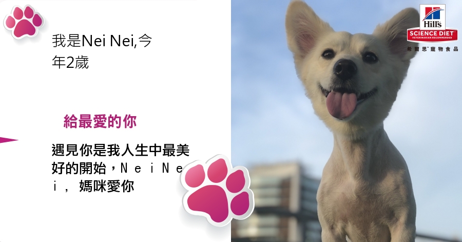 Nei Nei Chang的測驗結果