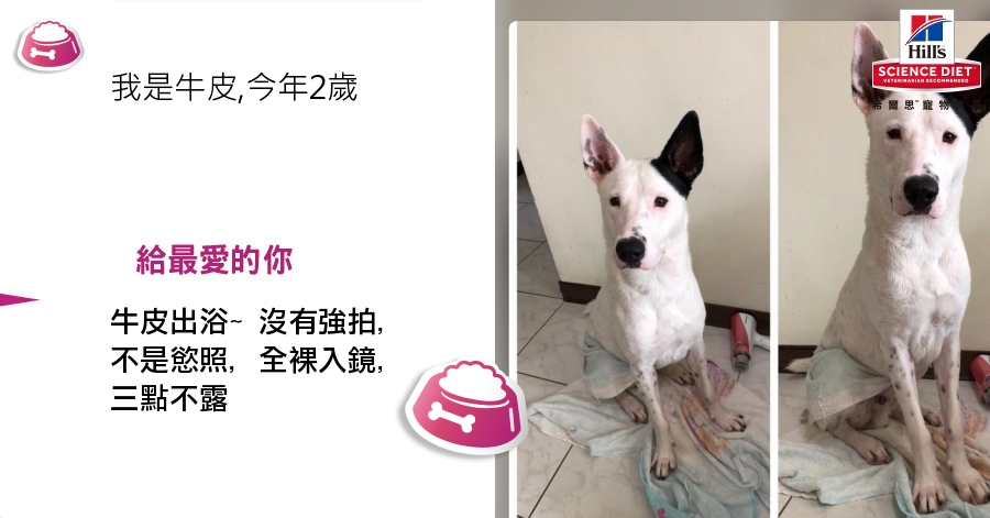 ChienPing Pan的測驗結果