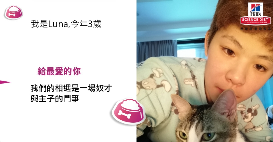 ChiChi Lin的測驗結果