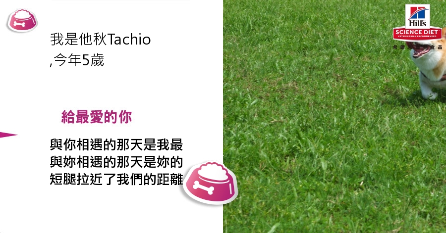 雷涴如的測驗結果