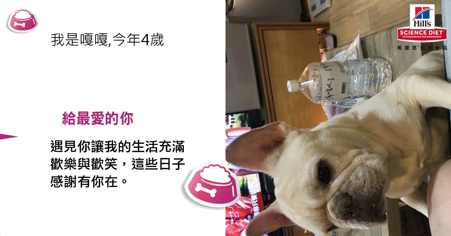 陳意函的測驗結果