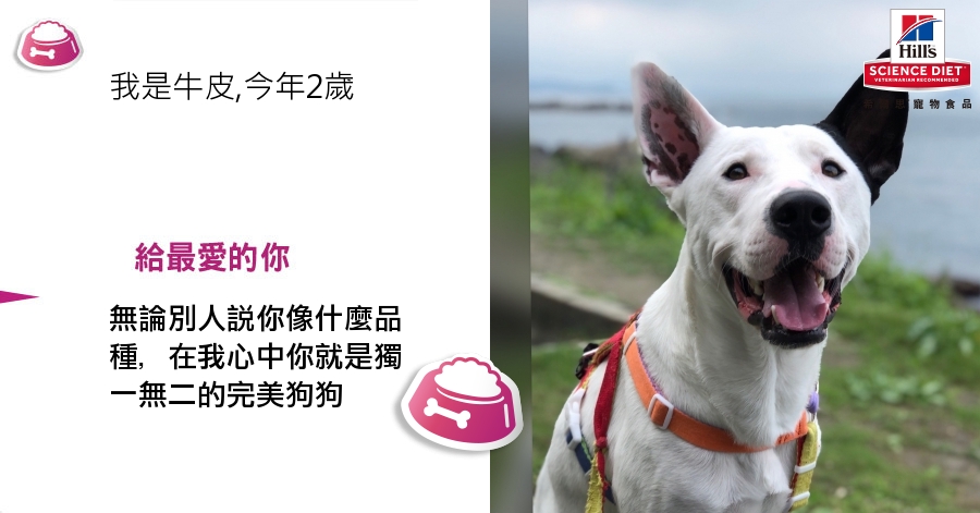 ChienPing Pan的測驗結果