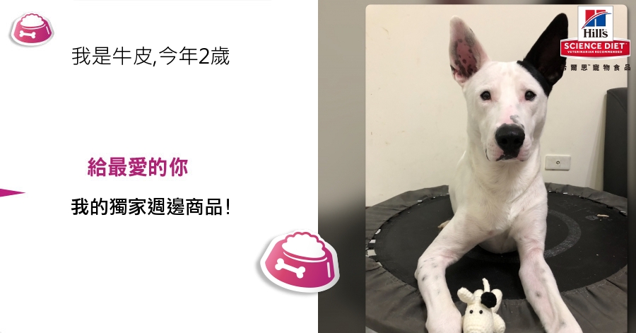 ChienPing Pan的測驗結果