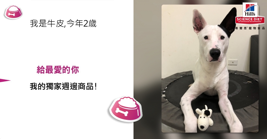 ChienPing Pan的測驗結果