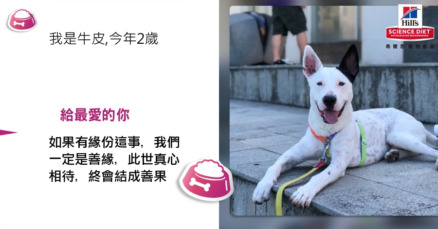 ChienPing Pan的測驗結果